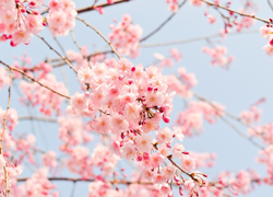 春の体験レッスン受付中