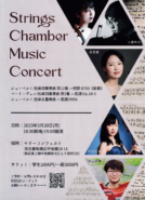 Strings chamber Music concert